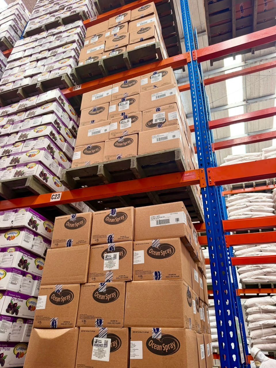 Arándano deshidratado – Caja 11,34 kg