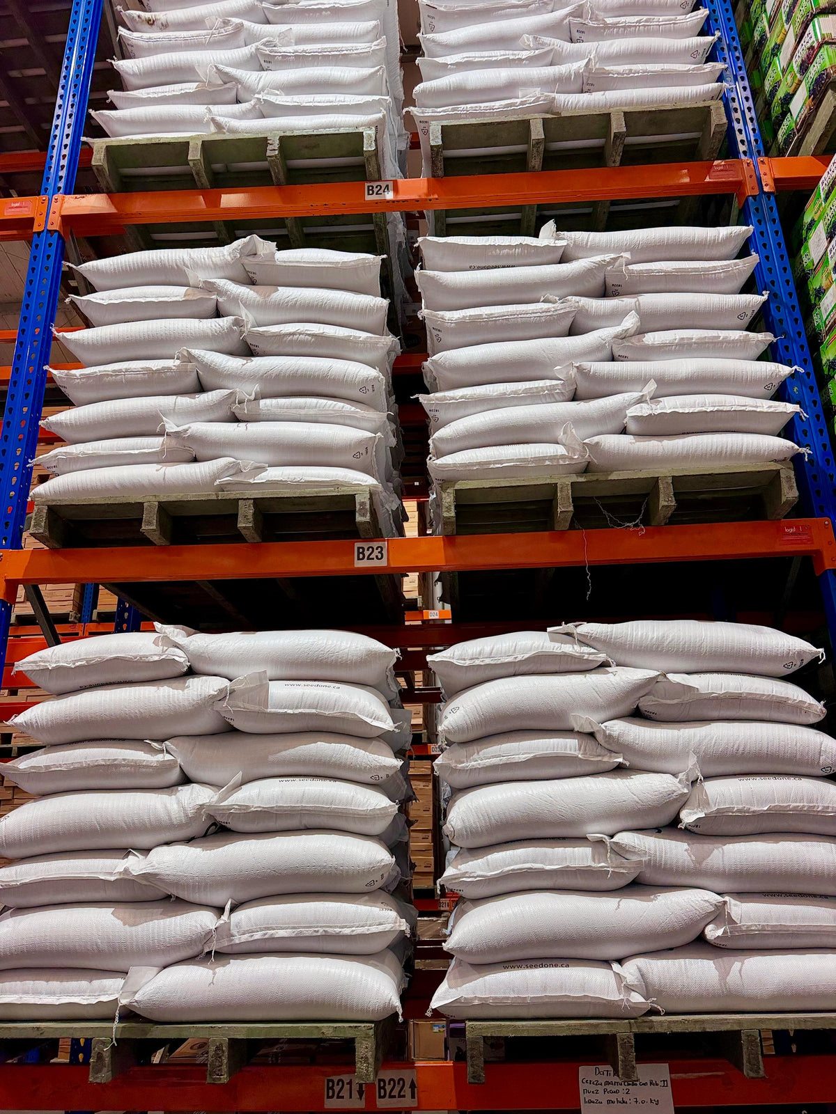 Linaza en grano – Bulto 25 kg