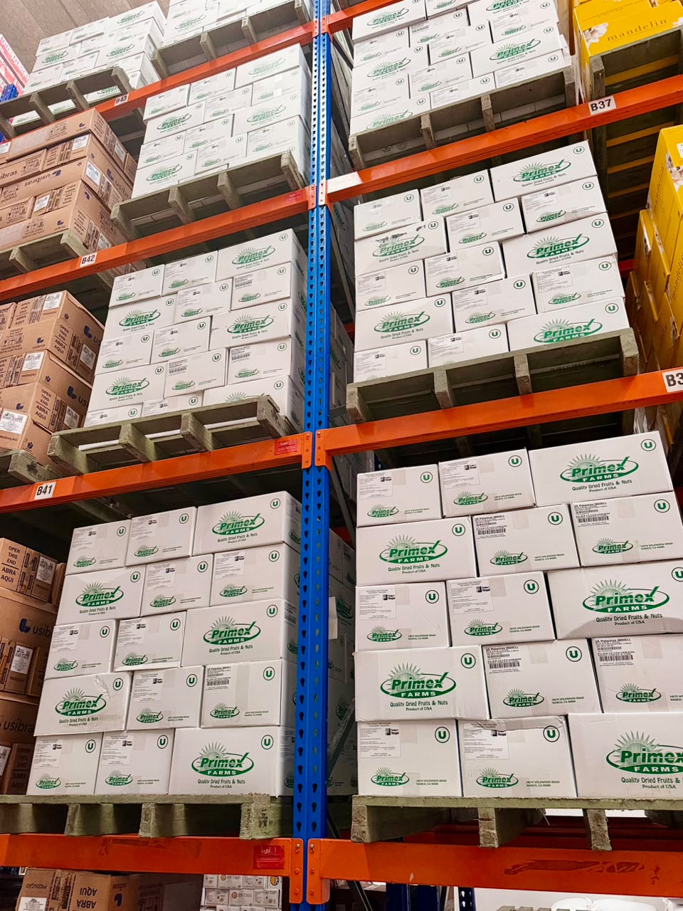 Pistacho con cáscara tostado y salado – Caja 10 kg