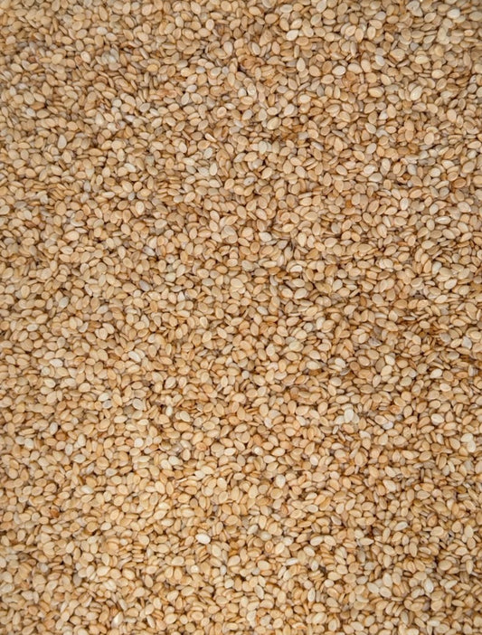 Ajonjolí tostado – Bulto 25 kg