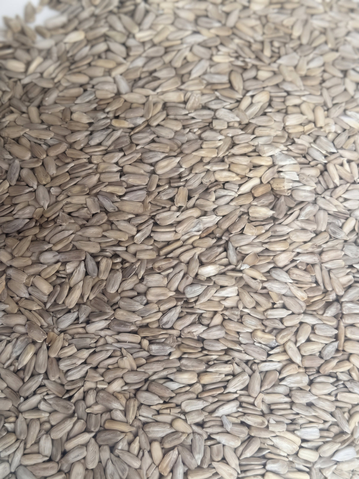 Girasol descortezado – Bulto 25 kg