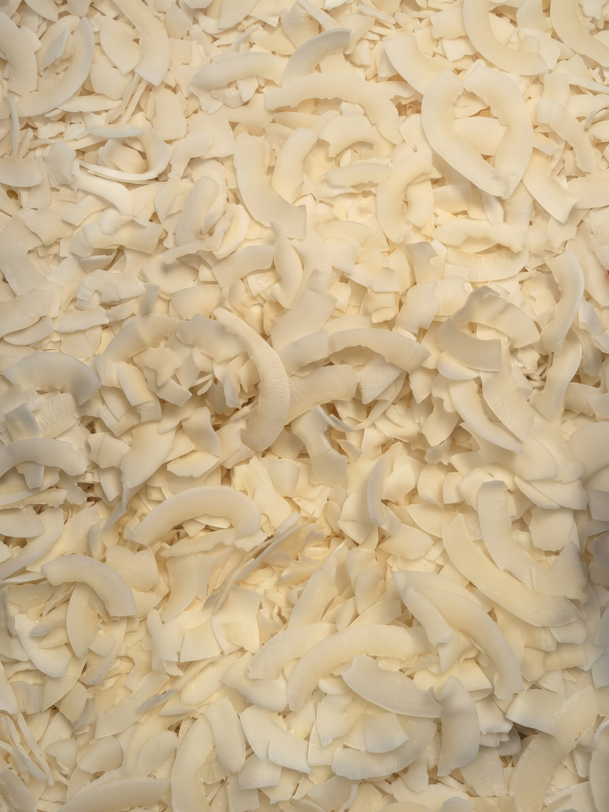 Hojuela de coco en lajas – Caja 10 kg
