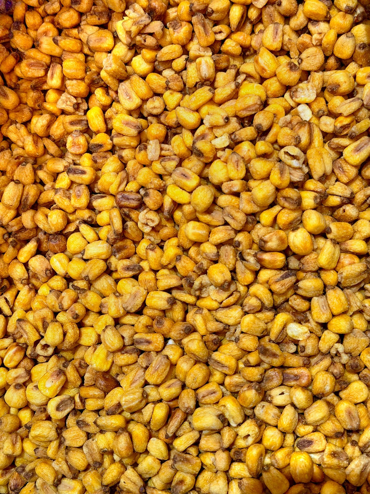 Maíz tostado – Bulto 25 kg