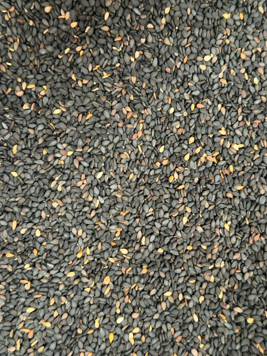 Ajonjolí negro – Bulto 25 kg