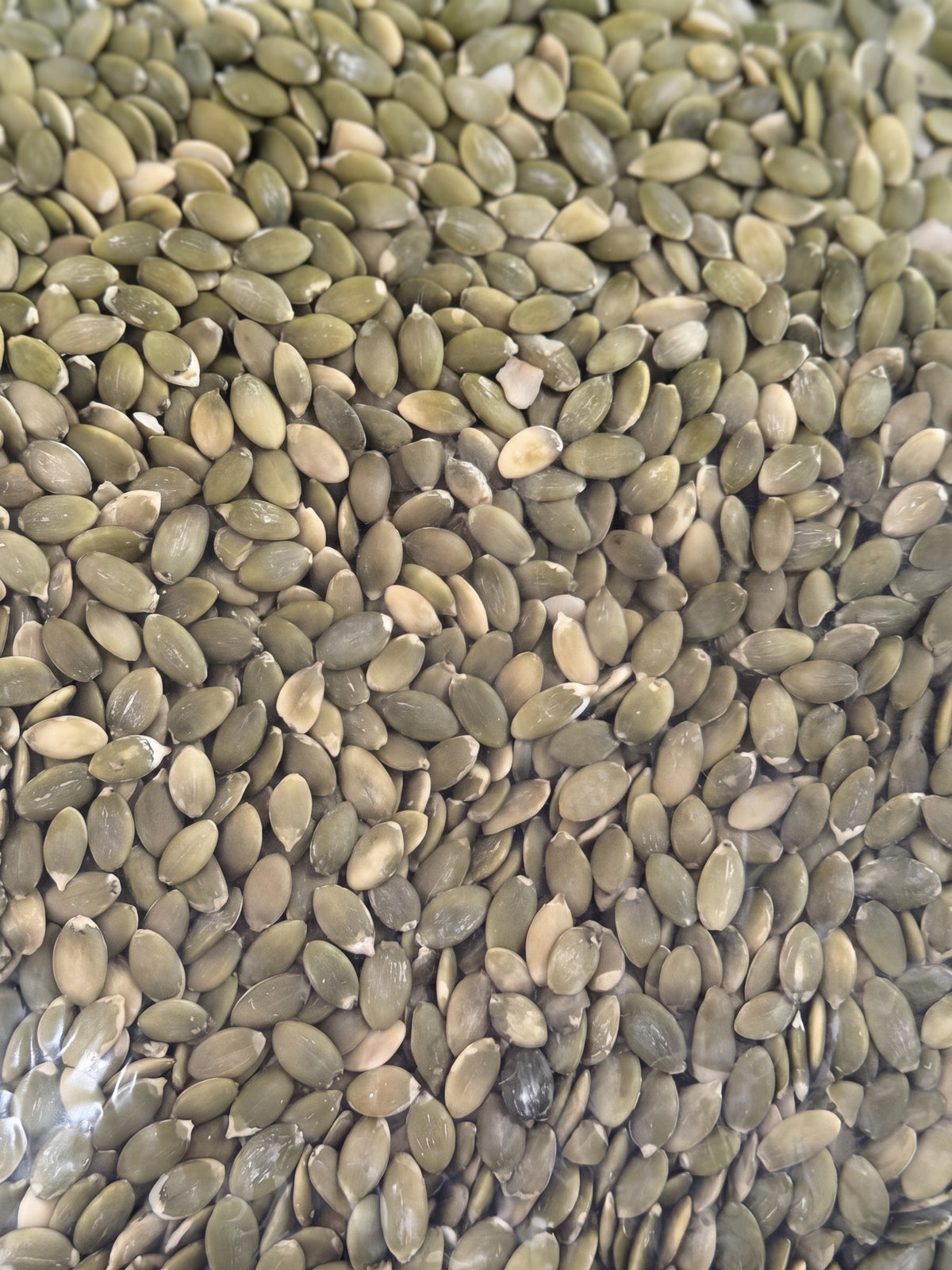 Semilla de calabaza natural – Bulto 25 kg